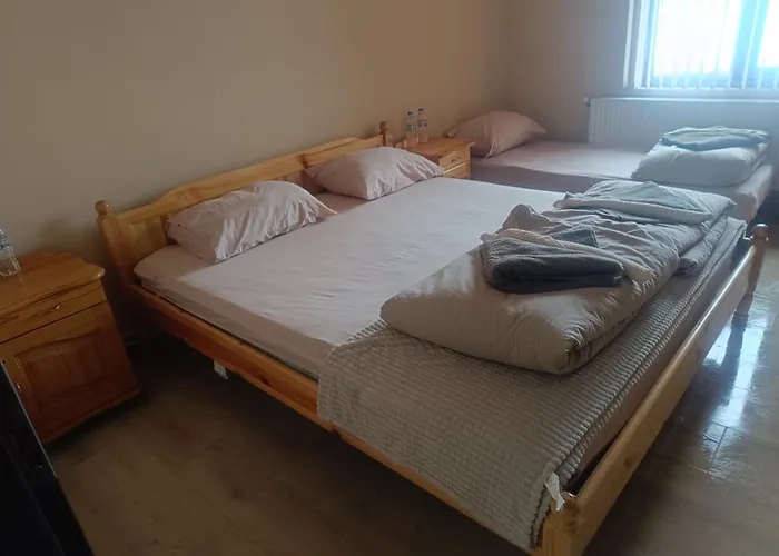 Guest Didka Koprivchtitsa