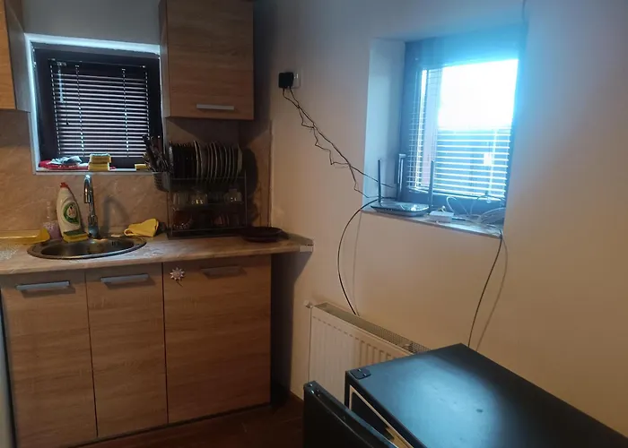 Guest Didka Koprivchtitsa